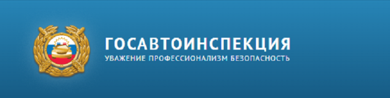 Госавтоинспекция призывает родителей уделить особенное внимание безопасности детей в новогодние каникулы.